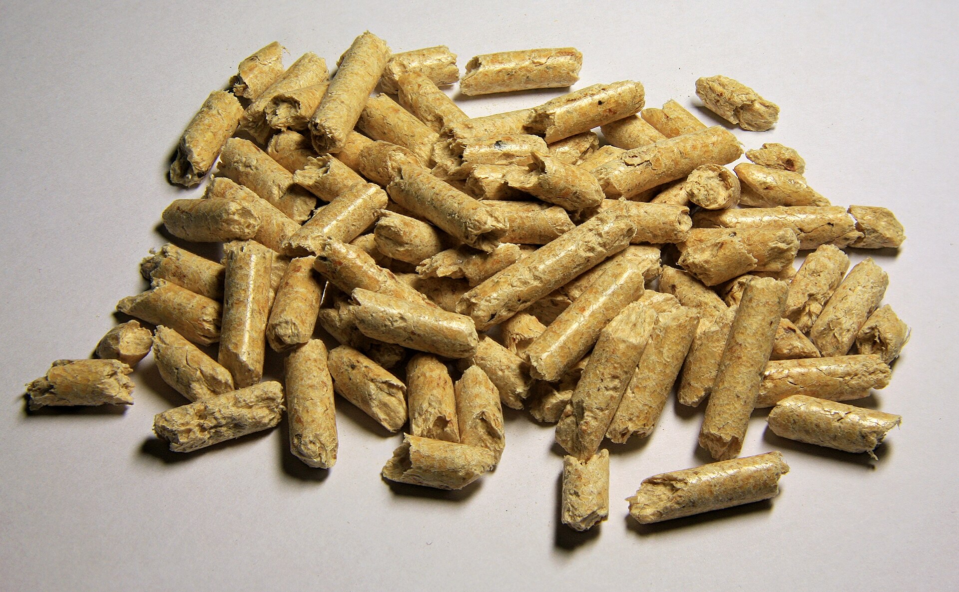 Small huddle of cream cylindrical plant pellets on a light surface