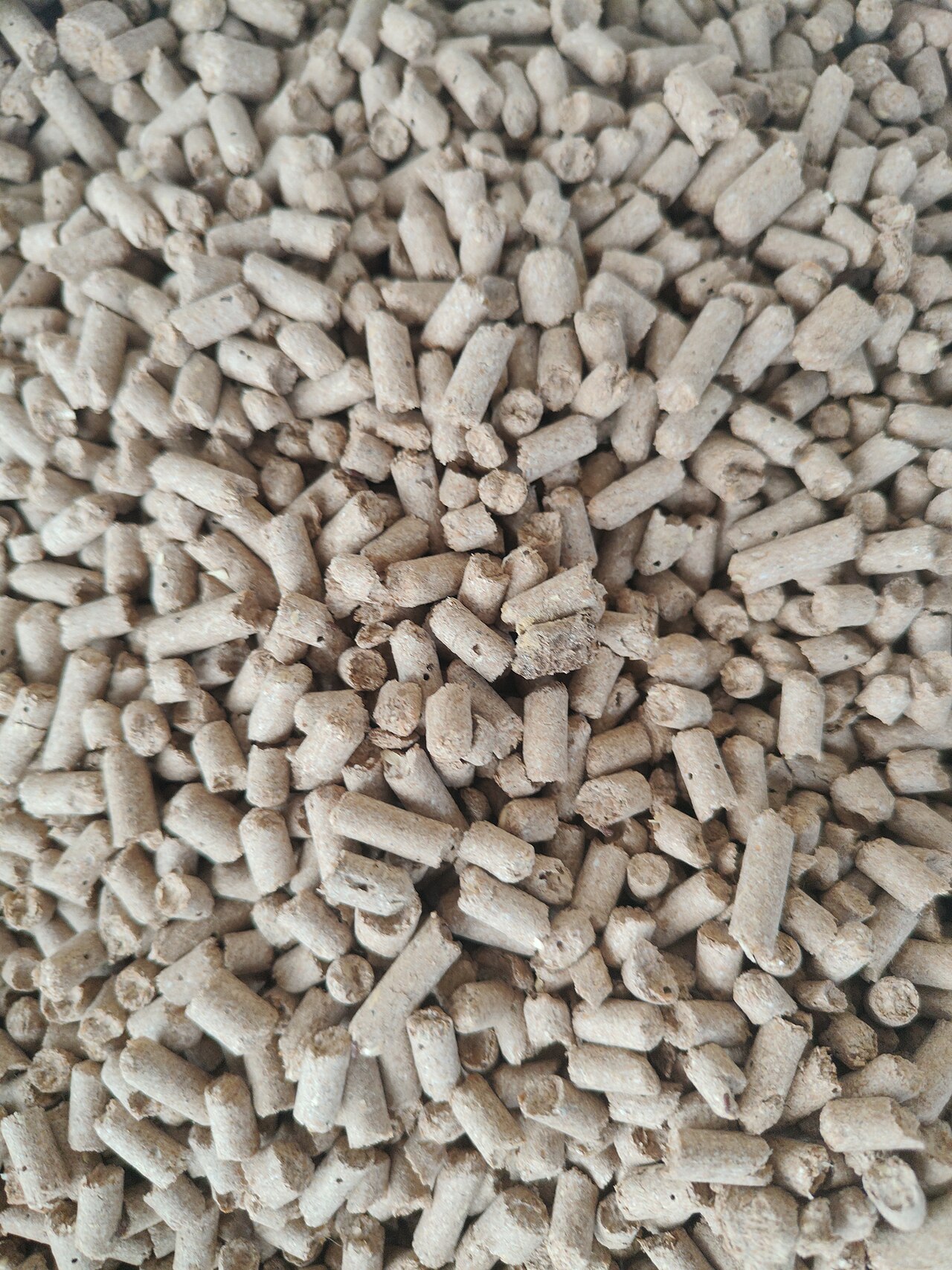 Close-up field of cream cylindrical plant pellets, the tofu litter form